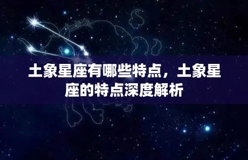土象星座深度解析,独特性格与特点探究