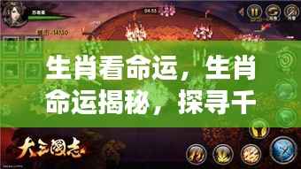 生肖命运揭秘,探寻千年传承中的命运密码,揭示生肖与命运的神秘联系