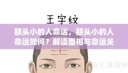 额头小的人命运解析,面相与命运之间的神秘关联