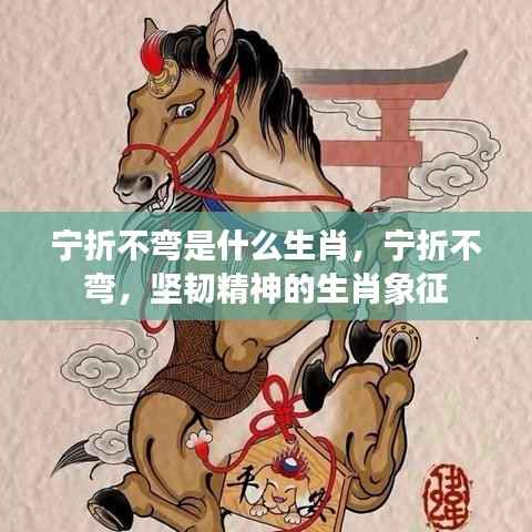 宁折不弯,坚韧精神的生肖象征解读揭秘