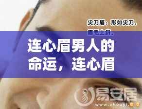 连心眉男人的命运,眉型与人生轨迹的深刻联系探索