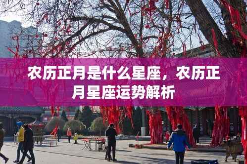 农历正月星座运势解析,探寻星座运势与特点