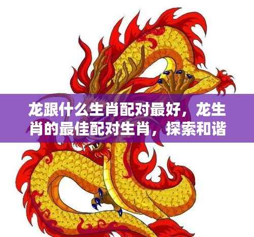 龙生肖的最佳配对生肖，探索和谐共生的奥秘