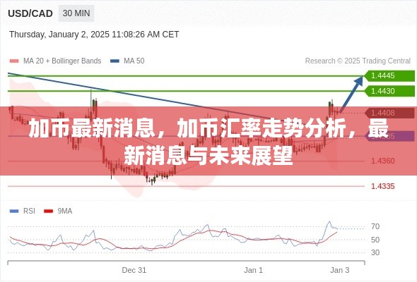 加币汇率最新动态及未来走势展望