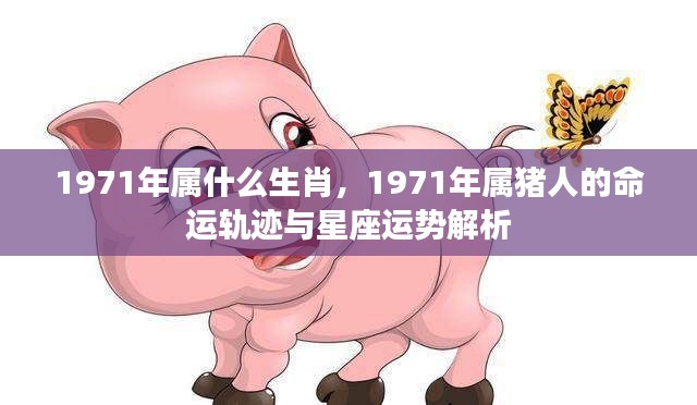 1971年属猪人的命运与星座运势解析,生肖与星座交织的运势轨迹