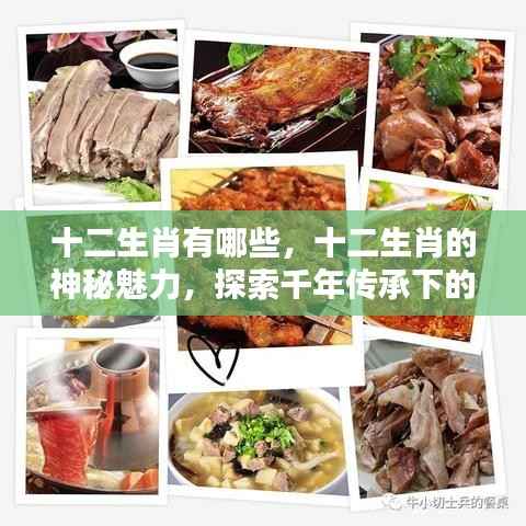 探索千年传承，十二生肖的神秘魅力与文化印记