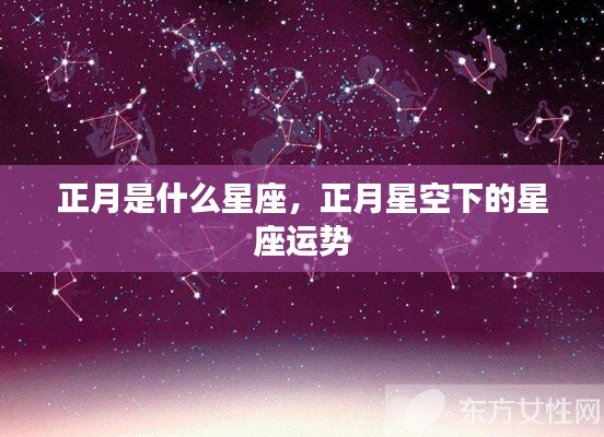 正月星空下的星座运势揭秘,属于你的星座运势展望