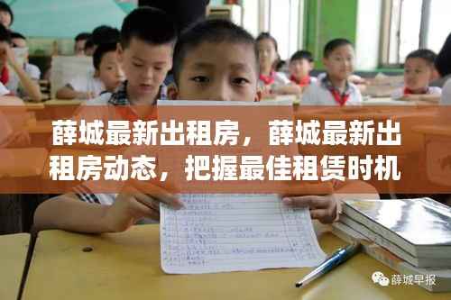 薛城最新出租房信息及动态,把握租赁最佳时机,寻找理想住所