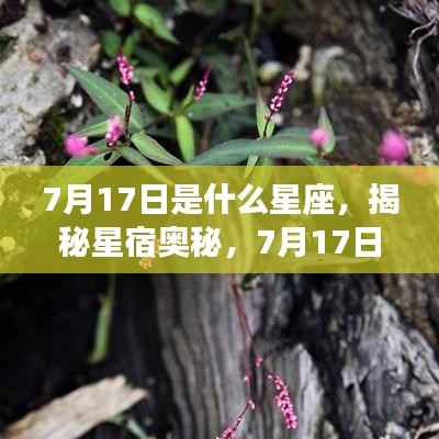 揭秘星宿奥秘,7月17日的星座运势解析及星座归属