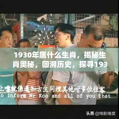 揭秘生肖奥秘,探寻1930年属相之谜,回溯历史揭晓属相真相