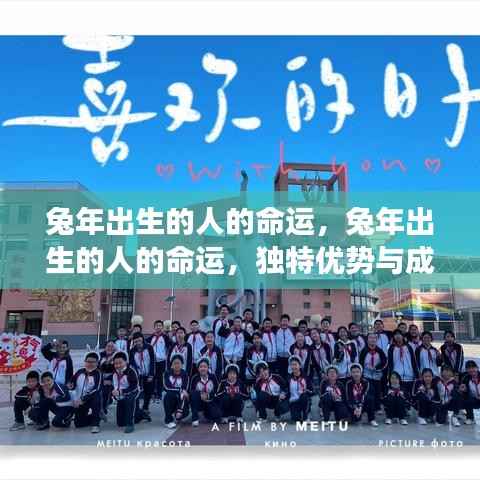 兔年出生者的命运展望,独特优势与成长轨迹