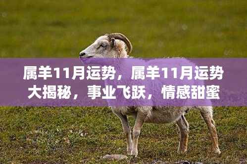 属羊人11月运势展望,事业飞跃与情感甜蜜大揭秘