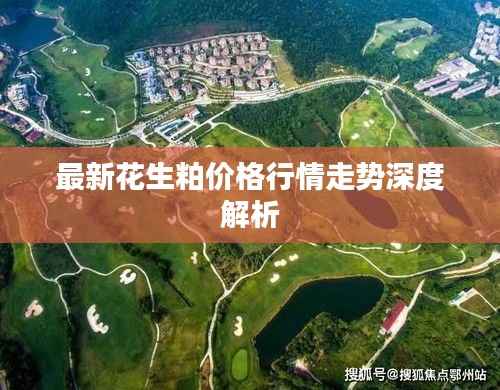 一本正经 第4页