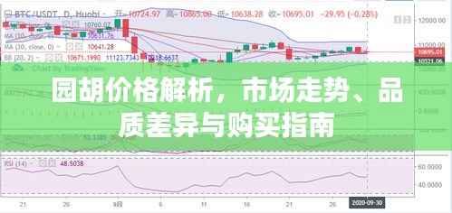 还淳反素 第3页