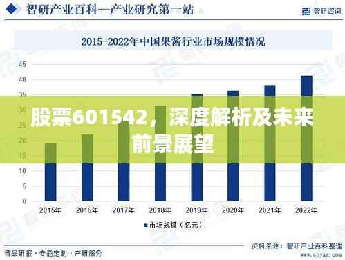 股票601542,深度解析及未来前景展望