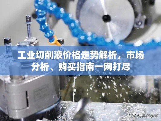 夭桃秾李 第3页