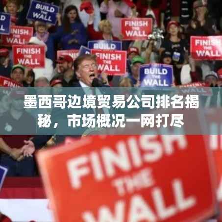 墨西哥边境贸易公司排名揭秘,市场概况一网打尽