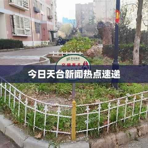 今日天台新闻热点速递
