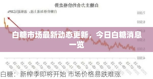白糖市场最新动态更新,今日白糖消息一览