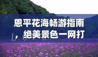恩平花海畅游指南,绝美景色一网打尽!
