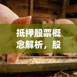 抵押股票概念解析,股票也能成为融资的抵押物!