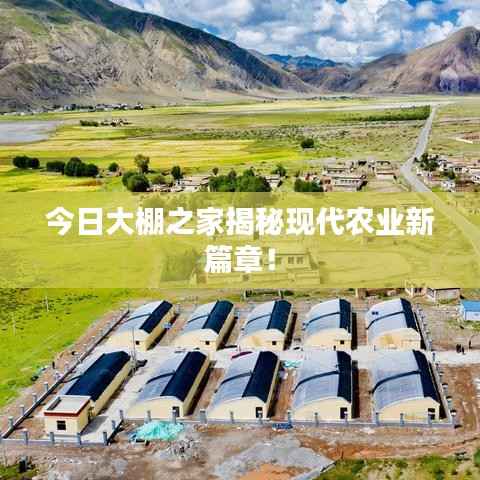 今日大棚之家揭秘现代农业新篇章!