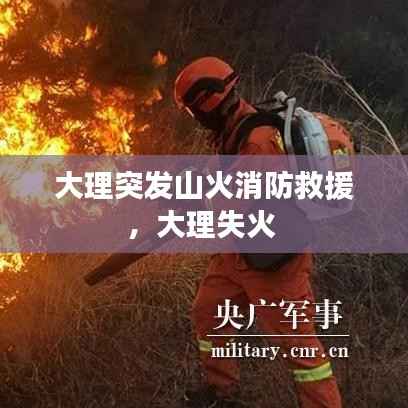 大理突发山火消防救援,大理失火