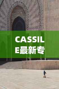 CASSILE最新专题,cassettes
