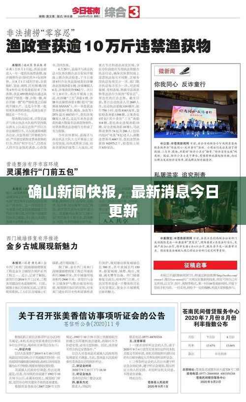 确山新闻快报,最新消息今日更新