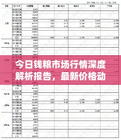 今日钱粮市场行情深度解析报告,最新价格动态一网打尽!