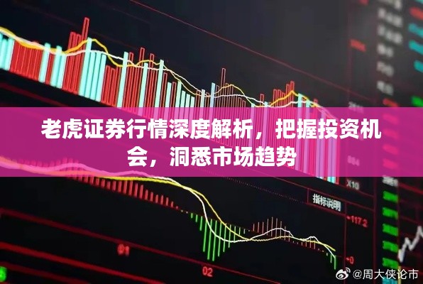 老虎证券行情深度解析,把握投资机会,洞悉市场趋势