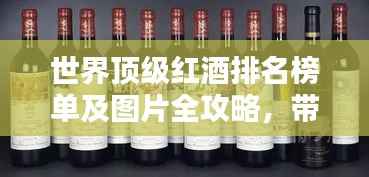 世界顶级红酒排名榜单及图片全攻略,带你领略葡萄酒的迷人世界