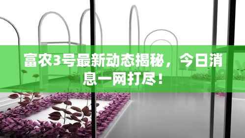 富农3号最新动态揭秘,今日消息一网打尽!