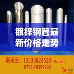 镀锌钢管最新价格走势揭秘,行业分析与动态报告