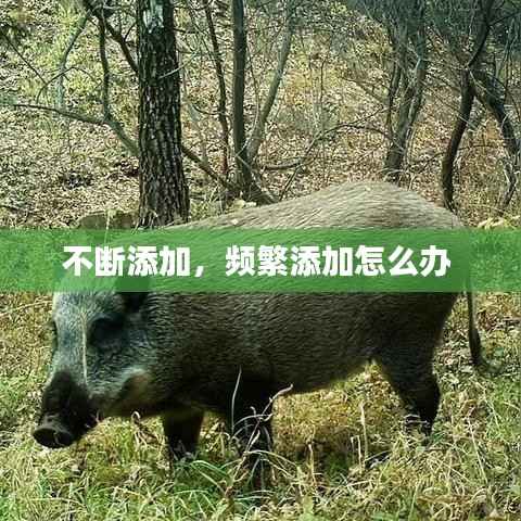 不断添加,频繁添加怎么办