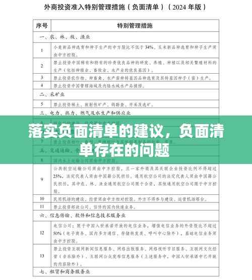 落实负面清单的建议,负面清单存在的问题