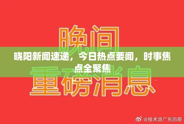 晓阳新闻速递,今日热点要闻,时事焦点全聚焦