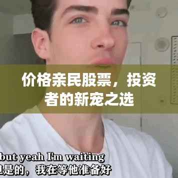 价格亲民股票,投资者的新宠之选