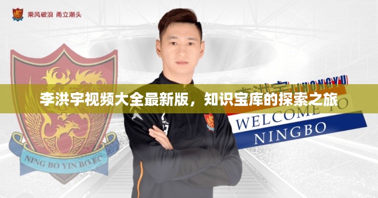 李洪宇视频大全最新版,知识宝库的探索之旅