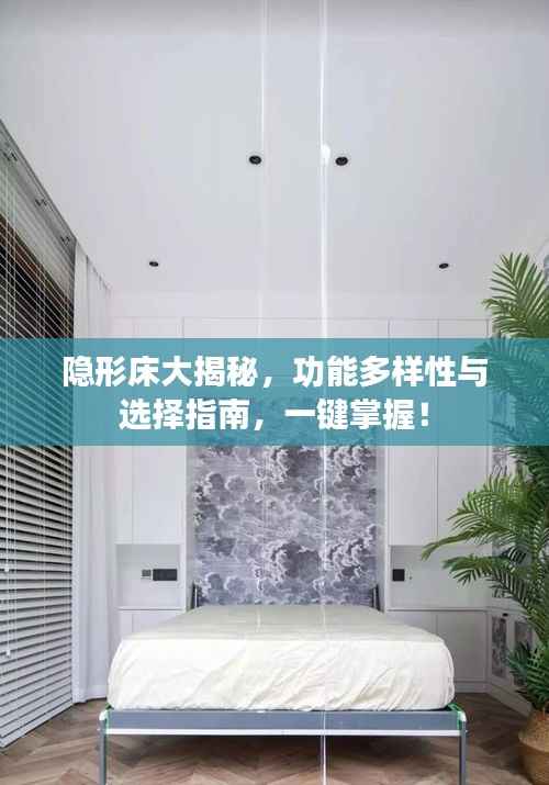 隐形床大揭秘,功能多样性与选择指南,一键掌握!