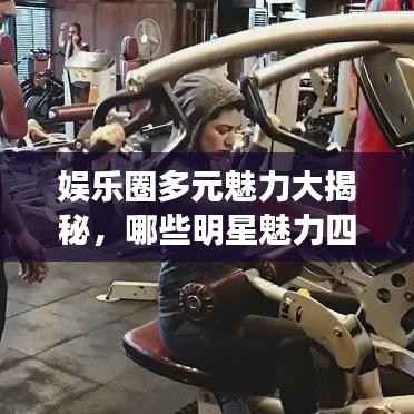 娱乐圈多元魅力大揭秘,哪些明星魅力四射?