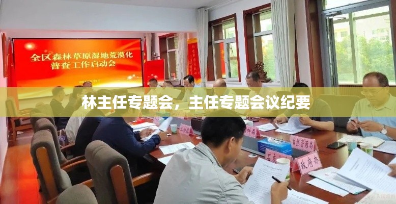 林主任专题会,主任专题会议纪要