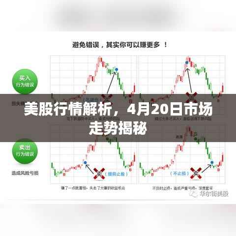 鸟吏鳖官 第3页