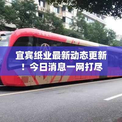 宜宾纸业最新动态更新!今日消息一网打尽