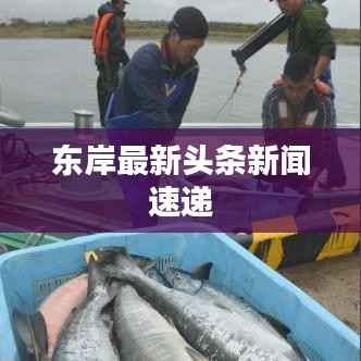 还淳反朴 第2页