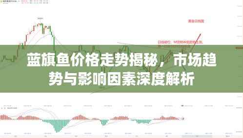 蓝旗鱼价格走势揭秘,市场趋势与影响因素深度解析