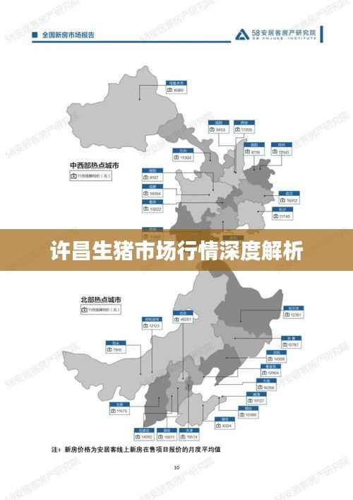 许昌生猪市场行情深度解析