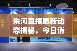 朱河直播最新动态揭秘,今日消息一网打尽!