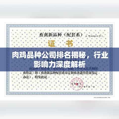 肉鸡品种公司排名揭秘,行业影响力深度解析