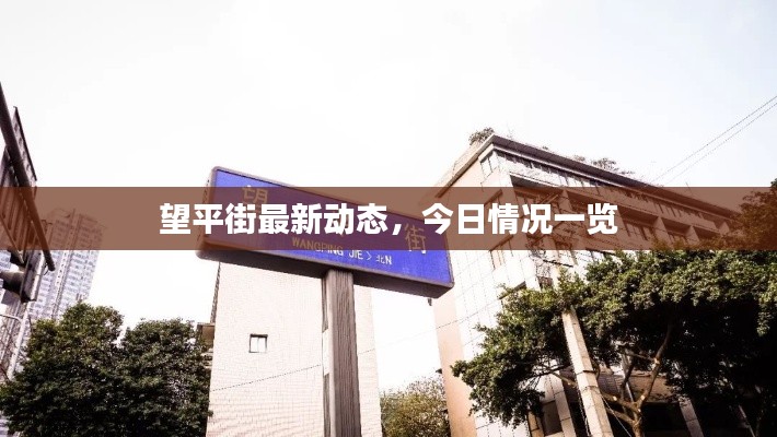 一本正经 第3页